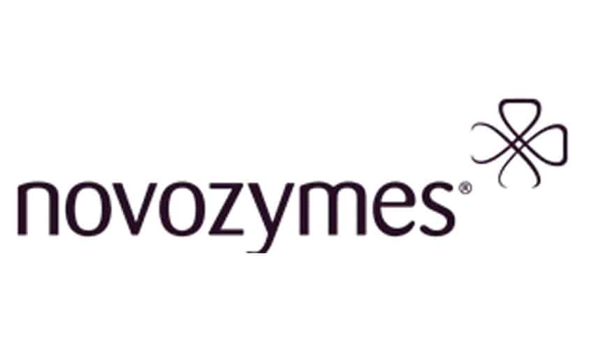 logo novos
