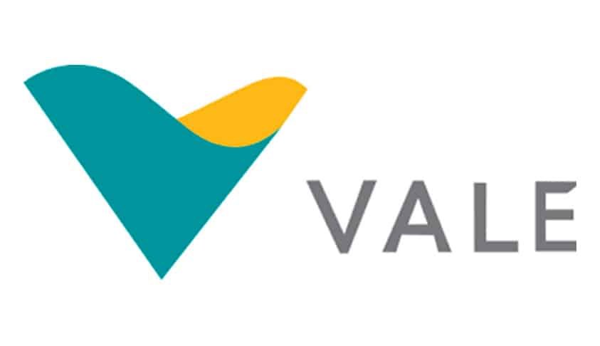 logo vale